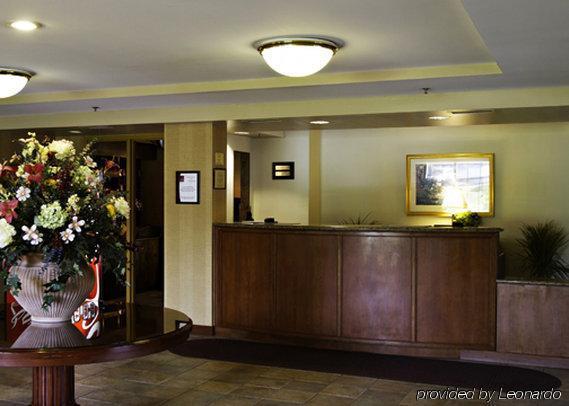 Holiday Inn Baltimore BWI Airport By Ihg Linthicum Interior foto
